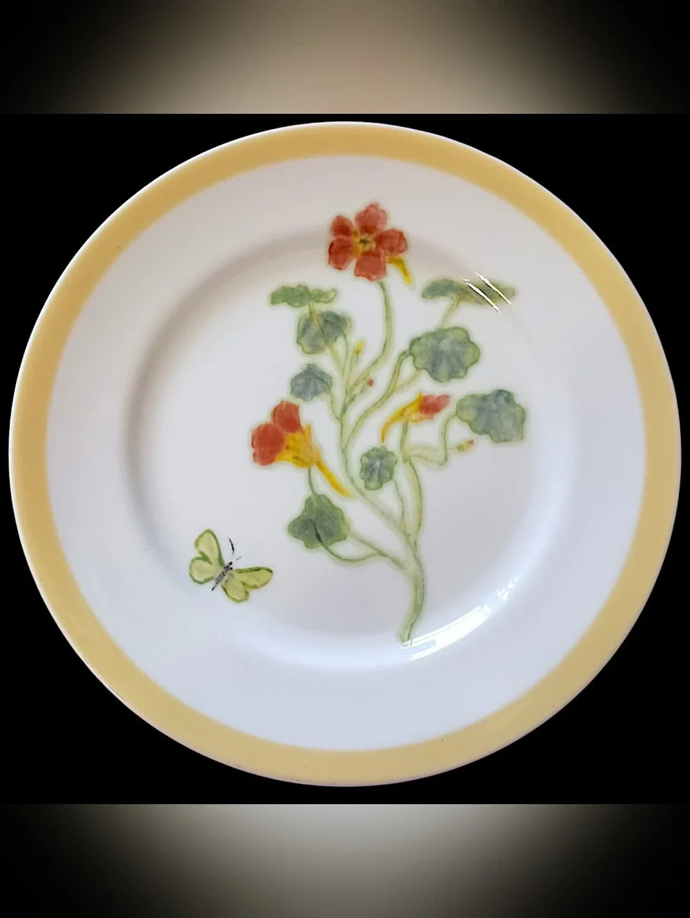 2 Williams Sonoma Flowering Herbs Salad Plates Purple Herb Flowers Nasturtium